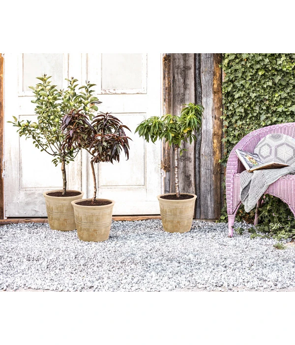 Terrakotta-Topf Grado, Rund, Antik-terrakotta – Bild 2