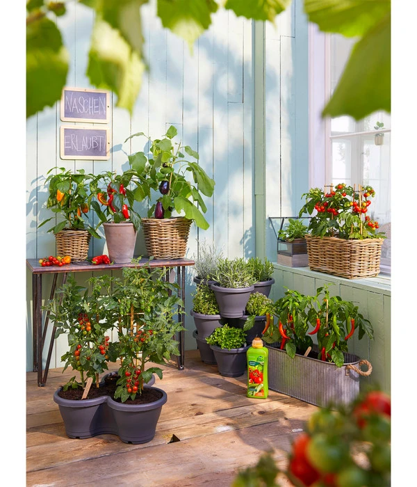 Van Der Leeden Rattan-Pflanzkasten, Graubraun - Image 6