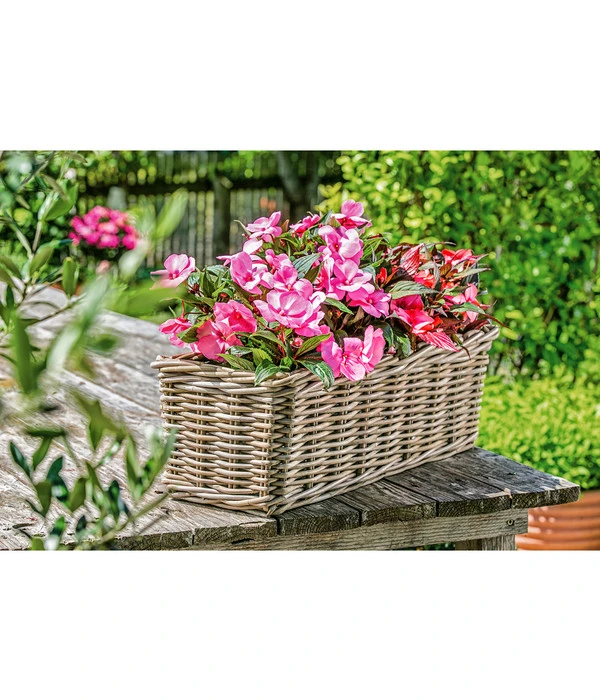 Van Der Leeden Rattan-Pflanzkasten, Graubraun - Image 2