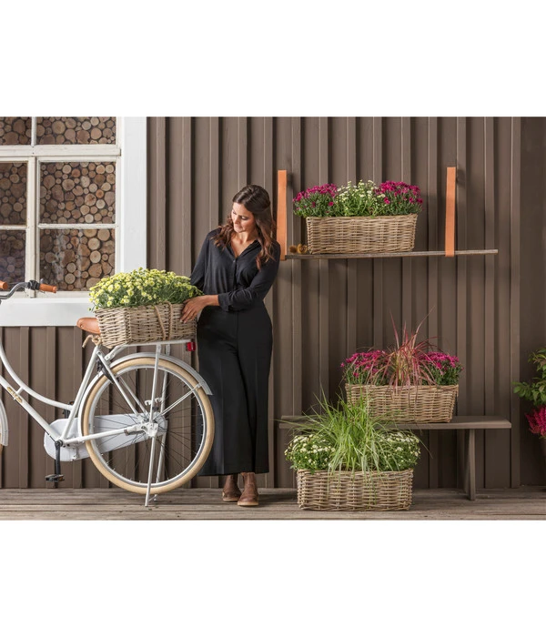 Van Der Leeden Rattan-Pflanzkasten, Graubraun - Image 7