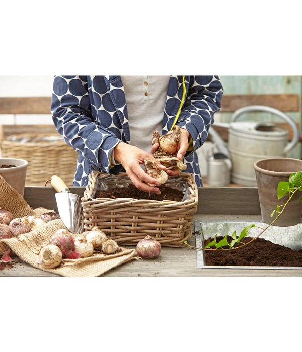 Van Der Leeden Rattan-Pflanzkasten, Graubraun - Image 5