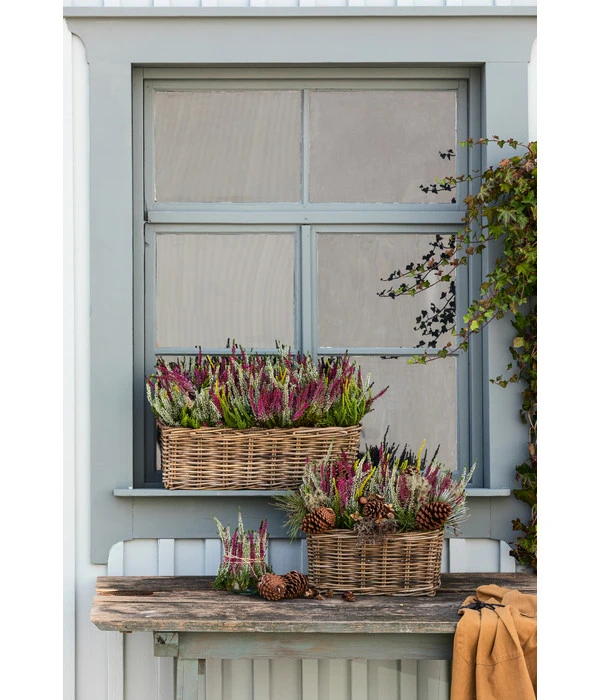 Van Der Leeden Rattan-Pflanzkasten, Graubraun - Image 8