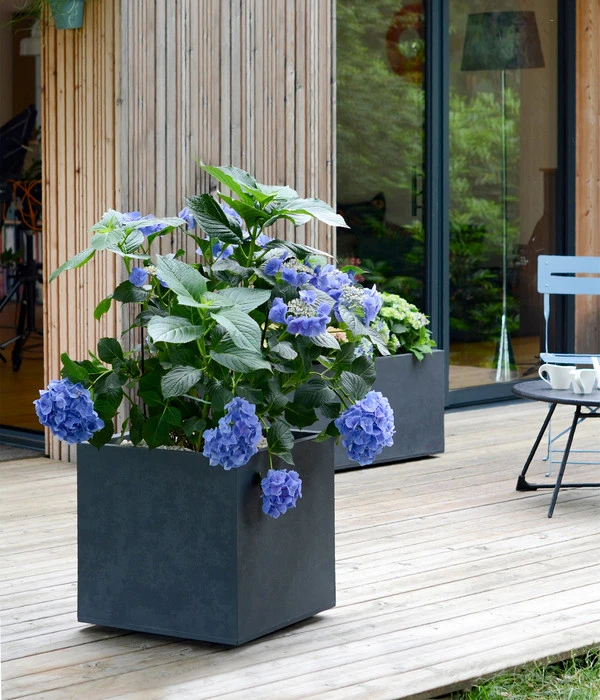 EDA-plastiques Kunststoff-Topf Basalt, Quadratisch, Anthrazit, Ca. B49,5/H49,5/T49,5 Cm – Bild 2
